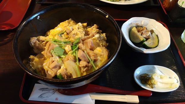 日替り「親子丼」